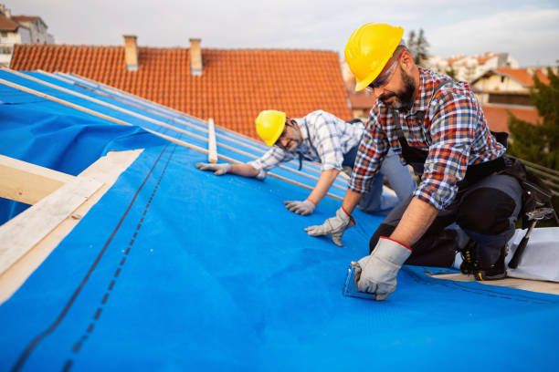Roof Gutter Cleaning in Wilmerding, PA